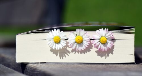 書籍と花